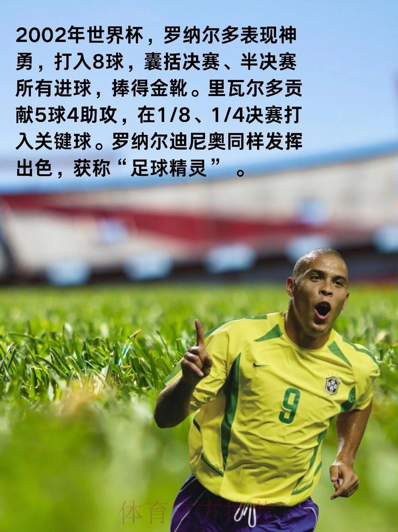 全面解析世界杯球队数据分析